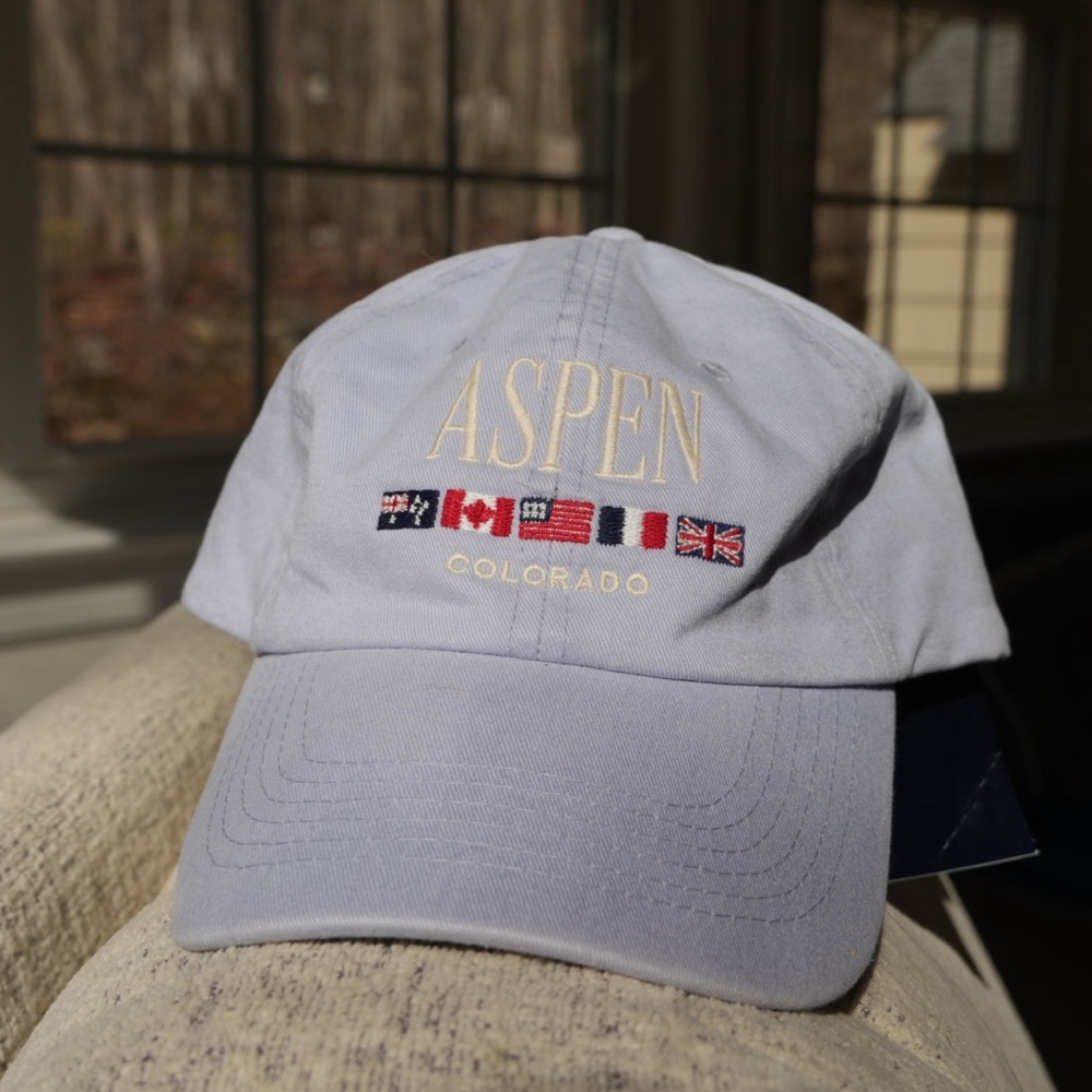 Brandy Melville Light Blue Aspen Baseball Cap 🧢🩵